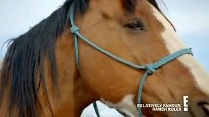 Keep a lookout for those instagrammable horses on #RelativelyFamous coming to your screens Fridays at 8.30pm, only on E! ✨ | E! Entertainment | Facebook