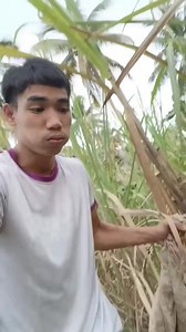 239K views · 2.1K reactions | “Sa bawat galaw, may kasamang tapang at adventure.”殺 #adventure #viralpost2025 #foryoupagereels #viralnow #foryoypage #foreveryone | Ronilo Nama | Facebook