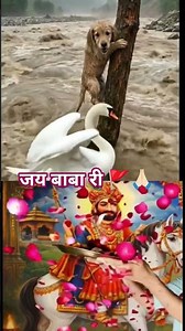 बाबा रामदेव जी 🚩 🙏🏻Jay Baba ri #bhakti #shorts #ytshorts #viral #shot #baba #ramdevra #ramdevji#2026