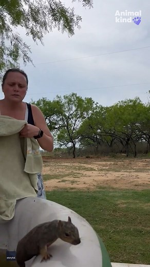 This squirrel would probably like a time machine to get out of this hot tub. #squirrel #animals #animalrescue #goodnews #inspiring #cuteanimals | Humankind