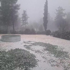 Video: Adi Fiada | Hananya Naftali