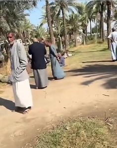 975K views · 20K reactions | نبدي بالحملة قبل قساوة ايام الشتاء إذا...