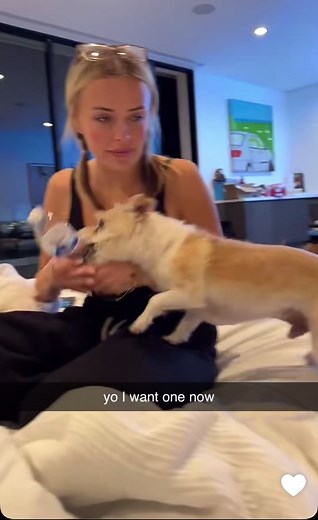 David Dobrik Plays with Dog - Corinna Kopf Vlog Moment