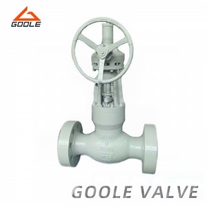 [Hot Item] Power Plant Gate Valve /Check Valve /Globe Valve/Sdnr Valve