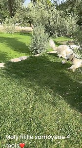 10K views · 144 reactions | Lesptitscoeurs on Reels | Facebook