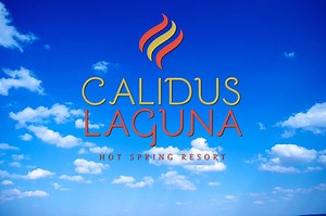 18 reactions · 22 shares | Make it Fun! Make it Memorable! A special private swimming pool party is one present you will remember forever. | Calidus Laguna Hot Spring Resort | Facebook