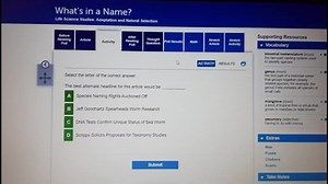 user7039840013099 on TikTok