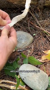 7.7K views · 176 reactions | Replying to @懶Izzy懶 how to make sinew #fyp #bushcraft #survival #wildernessskills #primitive #sinew #sagesmokesurvival | Garden Idea | Facebook