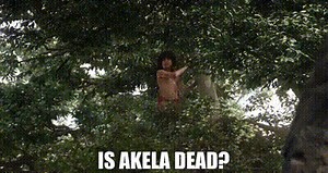 Is Akela dead?