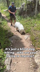 In 2021 Jubilee first prevented symptoms of blindness. For about 18 months we fought for her to keep her eyesight, but eventually her weakened immune system was overwhelmed with an infection on her leg. We rushed her to the emergency vet and she ended up needing surgery to close the infection, at that point because she was already blind we removed her eyes. Once she got over her initial surgery pain she became her jubilant self again, her autoimmune disease has caused her to lose her color, but 