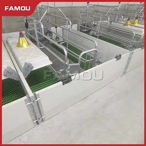 [Hot Item] Famou Piggery Equipment Pig Farming Sanitary and Clean Galvanized Pig Farrowing Crates for Slow Delivery and Lactating