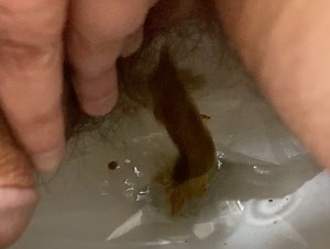 Shit on Toilet Paper