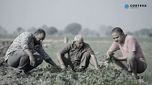 47K views · 2.3K reactions | अब पहले दिन से ही सोयाबीन की फसल के...