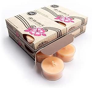 Butter Pecan Pie Premium Tealight Candles Bulk Pack - Highly Scented with Natural Oils - 24 Beige Tea Lights - Beautiful Candlelight - Made in the USA - Bakery & Food Collection