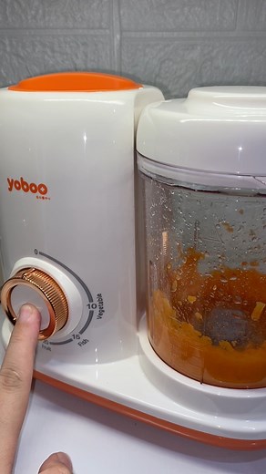 Blender and steamer | Mommy Cass