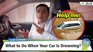 16K views · 689 reactions | Have you ever watched a Hollywood or...