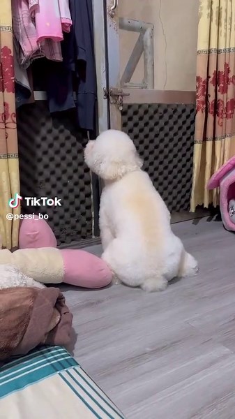 Tài khoản được đề xuất