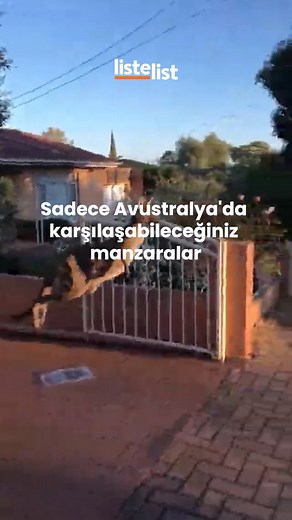 10K views · 97 reactions | Avustralya, Hint Okyanusu ve Büyük...