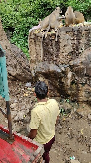 Prahlad Meena Meena on Reels