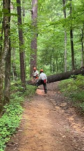 Caddo Lake State Park - Texas Parks and Wildlife on Reels | Facebook