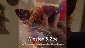 National Pet Fire Safety Day Pets need safety just like people! It's fire safety say but since it's hot, we're going to focus on the heat. Make sure they stay in a cool environment. Don't leave them in a hot car. If it's too hot for you to walk barefoot, don't have your pets do it. And always make sure they have water. Stay safe. | Orange County Fire Authority