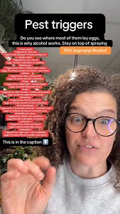 Fungus gnats: Triggered by: Wet soil Eggs: In the top layer of moist potting mix Spider mites: Triggered by: Hot, dry air Eggs: On leaf undersides, in webbing Mealybugs: Triggered by: Warm, stable indoor temps Eggs: In cottony clusters on stems leaf nodes Aphids: Triggered by: New, soft growth Eggs: On stems and leaf undersides (or live birth indoors) Thrips: Triggered by: Bright light young foliage Eggs: Inserted inside leaf tissue Scale: Triggered by: Warm temps stable environment Eggs: Under 