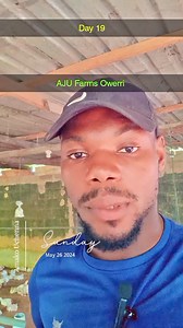 When pullorum disease should be treated #ajufarmsowerri #freshfeedmatters #maturedbroilers #gasbrooder #automaticdrinkers #wealth #broiler #owerri | A. J. U Farms Owerri imo state