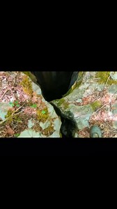 A beautiful open air pit here in Tennessee. #Tennessee #caves | TAG Caver