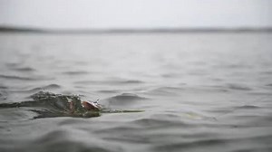 Is this the BIGGEST swimbait ever made? The Savage Gear 4D Line Thru Pike comes at up to 48cm and has been designed to catch the big mamas! Get YOURS >> https://bit.ly/2PBkInM #savagegear #pikefishing #predators #fishing | Tackleuk