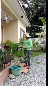 706K views · 6.3K reactions | KAHIT PANG KAPE LANG PO! #goodvibes #goodvibesonly #justforfun #HappyNewYear #BagongTaon #fbreels2025ツ #fbreelsvideo #fbreelsfypシ゚ #fbreel #fbreelsfypシ゚viral #reelsfypシ #reelstrending #reelsvideoシ #reelsviralシfb #funnyreels #funnyreelsvideo #napsterloft #bisayangdako | Napster Loft | Facebook