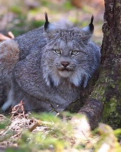 Like our page to learn more about the nature & wildlife around you! | Nature Conservancy of Canada / Conservation de la nature Canada