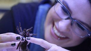 375K views · 1.9K reactions | How does the fuzzy tarantula defend itself? Cara Santa Maria explains. #HowDoYouMuseum Learn more at nhm.org/howdoyoumuseum. | Natural History Museum of Los Angeles County | Facebook