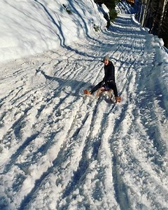 What a 🛷 sledging virgin looks like 😂 #firsttime #winterfun #sledging #rodelbahn | Anna-Christina Schwartz