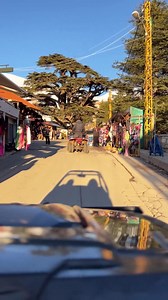 Driving through #Bcharre El Arez By @lebanonloyalty #Hiking #Camping #Nature #skiing #snowshoeing #Snow #Travel #Destination #MyLebanon #AmazingLebanon #LiveLoveLebanon #DiscoverLebanon #ExploreLebanon #ProudLebanese #LebaneseAmericans #Lebanon #Lebanese #AmericansLebanese | Lebanese Americans