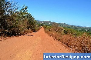 Jardim: O Que Está Comendo Buracos Na Minha Árvore De Trombeta De Anjo? - 2026 | Pt.Interior-Designy.com