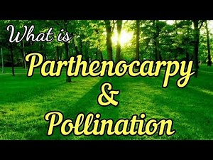 Parthenocarpy || Horticulture ||