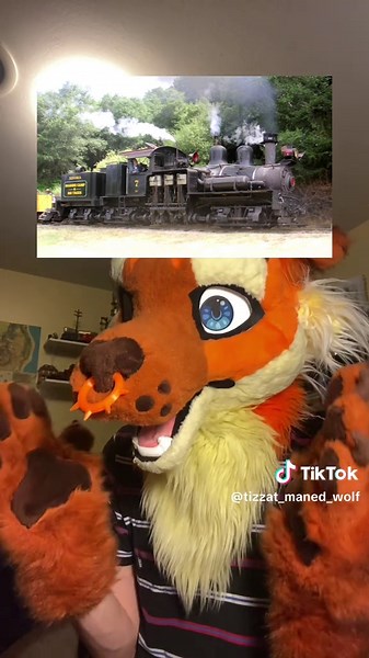 Tizzat_maned_wolf on TikTok