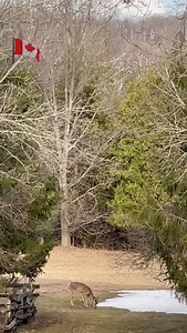 Beth Underhill on Reels | Facebook