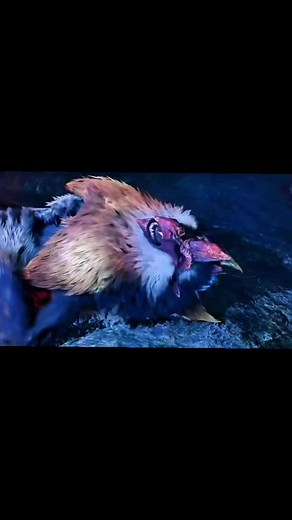 ゴア・マガラ（黒触龍）討伐ガイド｜混沌に呻く黒触異形