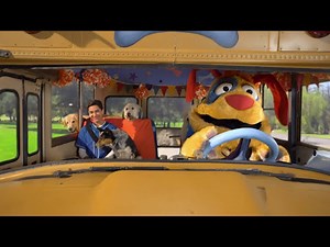 Mutt and Stuff Dogs on Bus Supercut