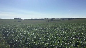 5K views · 210 reactions | The airplane in action! Here the plane is seeding our soybean fields with cereal rye cover crops. The soybeans will be harvested soon and then the cereal rye will protect the soil over the harsh winter months while putting nutrient matter back in the soil and help control erosion among other benefits. Yay conservation! :) h/t Klinkenborg Aerial Spraying | Farm Babe | Facebook