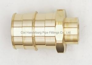 [Hot Item] Pex a Expansion Fitting Pex Brass Fitting Female Threaded End Cap