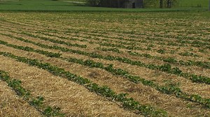 Grundy County leaders sick of having ‘biosolids’ illegally dumped on farmland