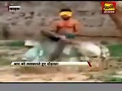 51K views · 766 reactions | If the tiger attacking the man in Delhi Zoo was not acceptable, then all those who blamed the tiger what will you call this Man?!? A Hero or A Rock star?!? Shame on this man!!! | Being Indian | Facebook