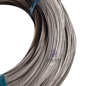 [Hot Item] in Stock Ss 302/304/316/Galvanized Round Fencing 5.0mm Spring Wire in Coil for Springs and Decoration