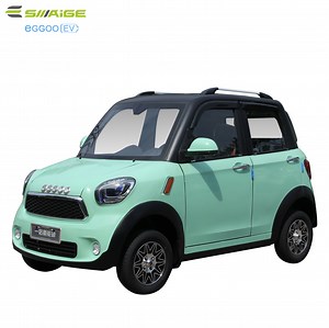 [Hot Item] Saige Brand M1 Electric Mini Car with Reverse Video
