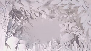 97K views · 40 reactions |  Комбинацията от иновативни продукти и...