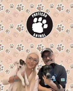 3.8K views · 269 reactions | A história de sofrimento acabou!...