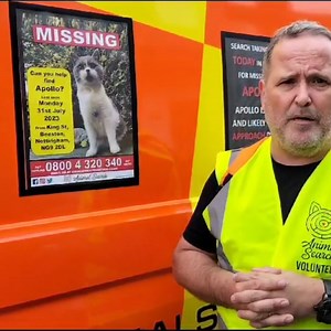 The search team have concluded their search in Beeston today.😻 We have recieved some positive sightings of Apollo close by. We are hoping that over the weekend we can reunite him with his worried owners. Any sighitngs or information please call ☎ 0800 4 320 340 | Animal Search UK