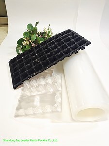[Hot Item] Clear Transparent Pet Rigid Sheet PE Film Packing Material of Material Developed Infor Thermoforming